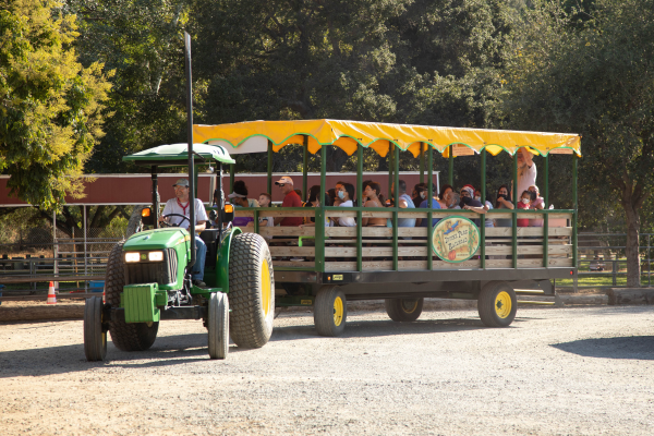 Tractor Driver Employee