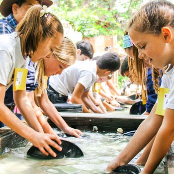 Panning for Gold