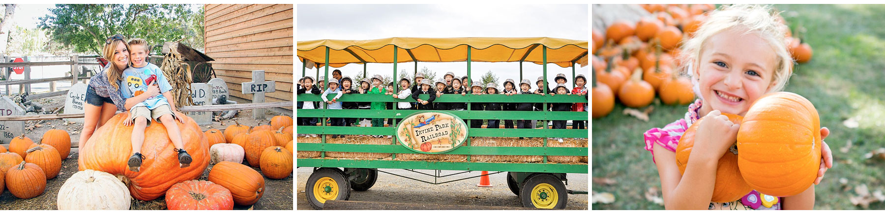 Pumpkin Tours