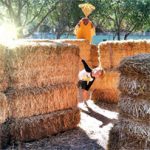 Pumpkin Patch Giant Hay Maze