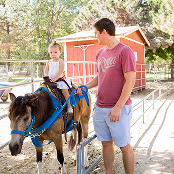 Irvine Park Railroad │ Train Rides │ Party and Special Event Areas │ Moon Bounce Rentals │ Wheel Fun Rentals at Irvine Park Bike and Paddle Boat Rentals │ Pumpkin Patch │ Christmas Train │ Easter Eggstravaganza │ 4th Grade California History Education Program │ Snack Bars │ irvineregionalpark irvineparkfun ocparks trainrides birthdayparties bikerentals paddleboats orangecounty oc familyfun chapmanatjamboree