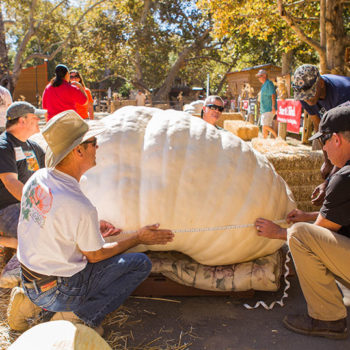 Irvine Park Railroad │ Train Rides │ Party and Special Event Areas │ Moon Bounce Rentals │ Wheel Fun Rentals at Irvine Park Bike and Paddle Boat Rentals │ Pumpkin Patch │ Christmas Train │ Easter Eggstravaganza │ 4th Grade California History Education Program │ Snack Bars │ irvineregionalpark irvineparkfun ocparks trainrides birthdayparties bikerentals paddleboats orangecounty oc familyfun chapmanatjamboree