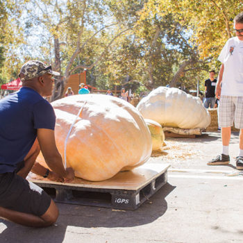 Irvine Park Railroad │ Train Rides │ Party and Special Event Areas │ Moon Bounce Rentals │ Wheel Fun Rentals at Irvine Park Bike and Paddle Boat Rentals │ Pumpkin Patch │ Christmas Train │ Easter Eggstravaganza │ 4th Grade California History Education Program │ Snack Bars │ irvineregionalpark irvineparkfun ocparks trainrides birthdayparties bikerentals paddleboats orangecounty oc familyfun chapmanatjamboree