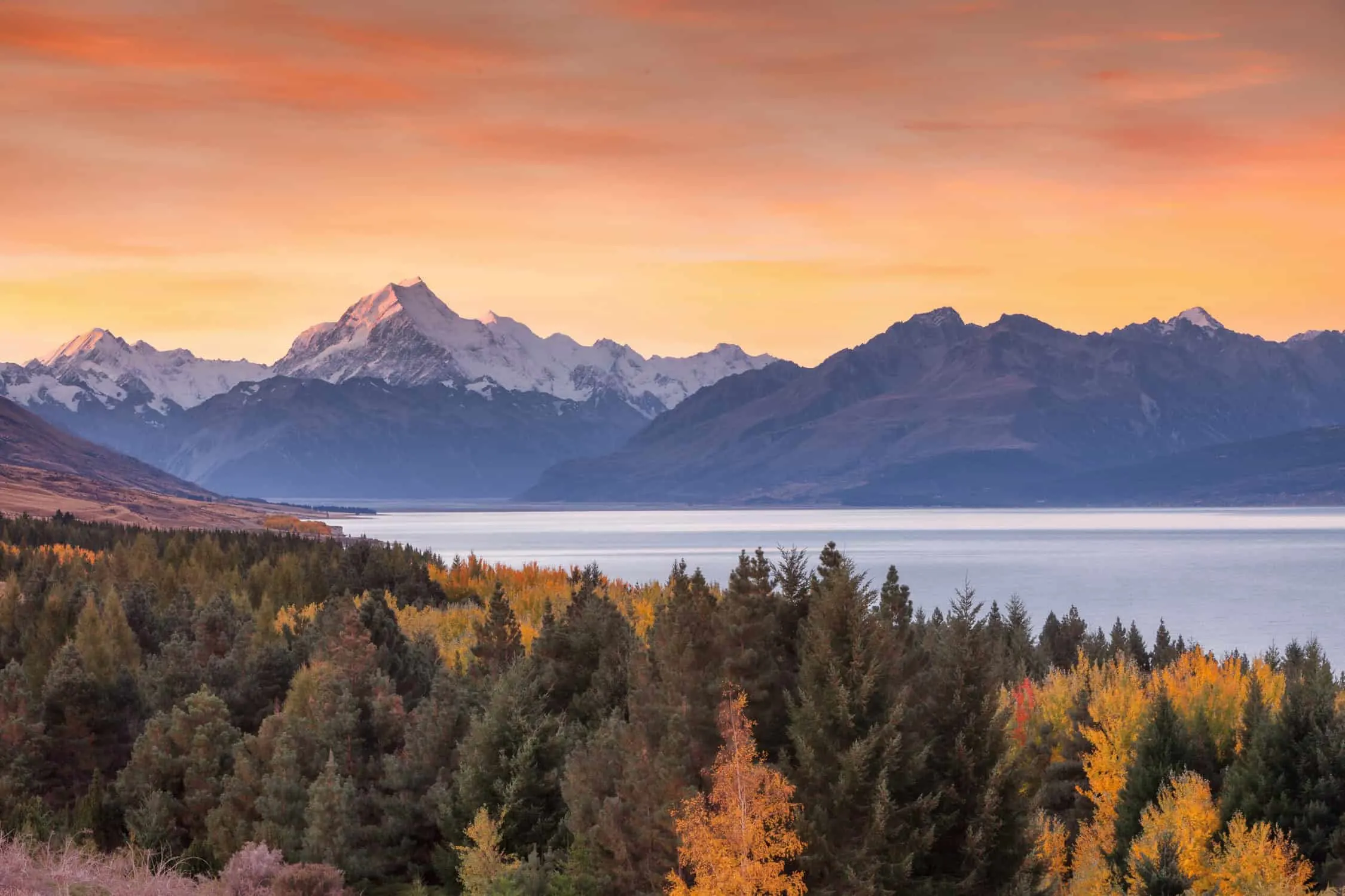 The Best National Parks in New Zealand