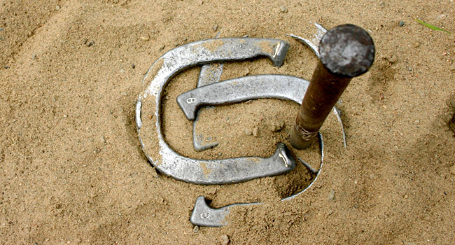 horseshoes rental game