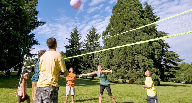 a Volleyball Rental