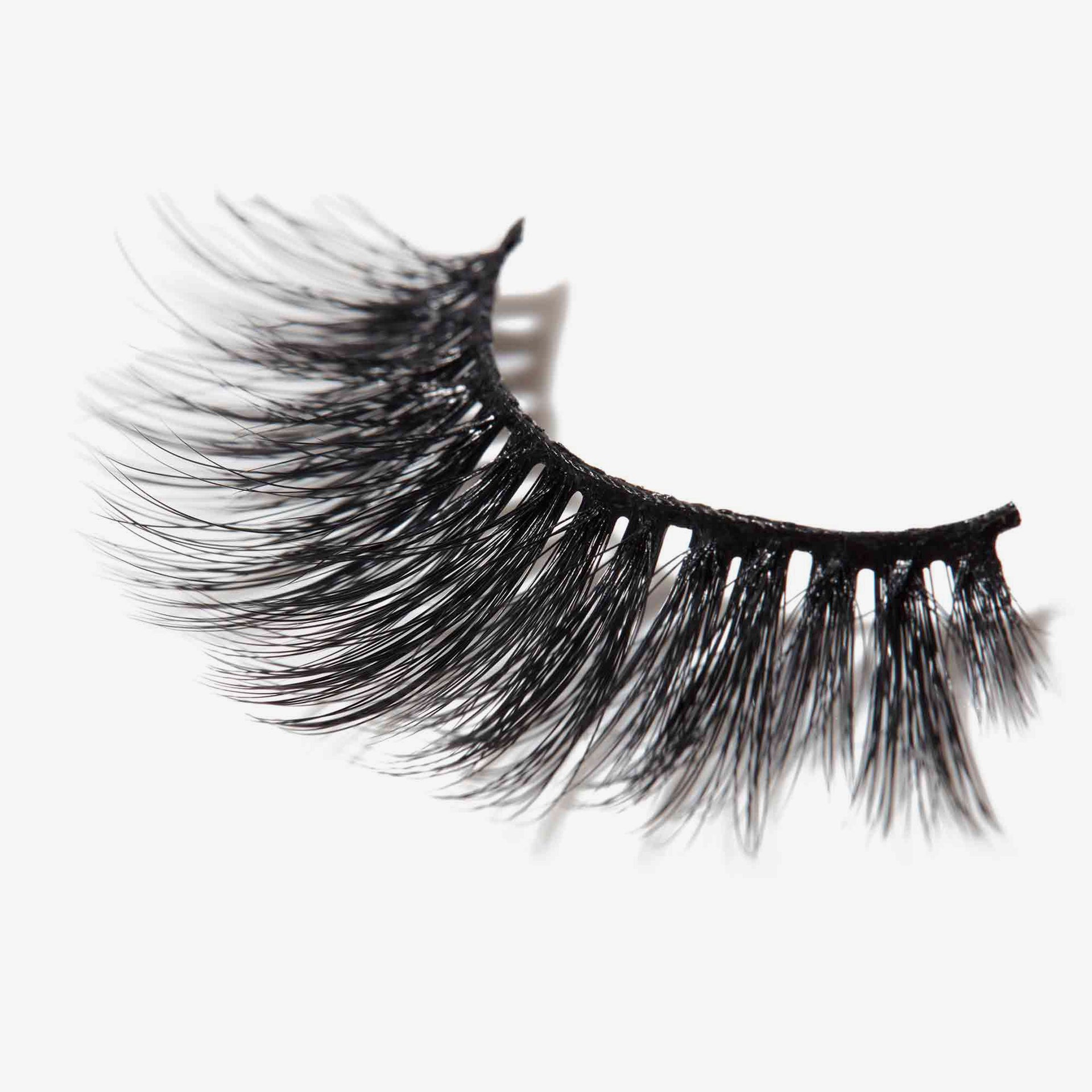 False Lashes - Lengthy